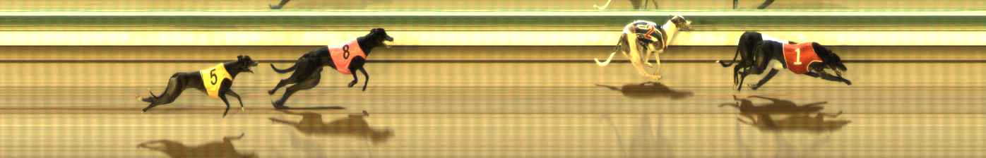 Photo finish for The Meadows Race 10