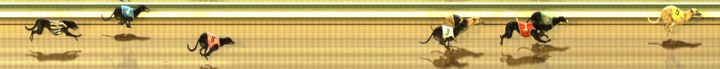Photo finish for The Meadows Race 11