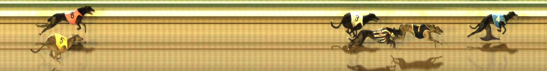 Photo finish for The Meadows Race 12
