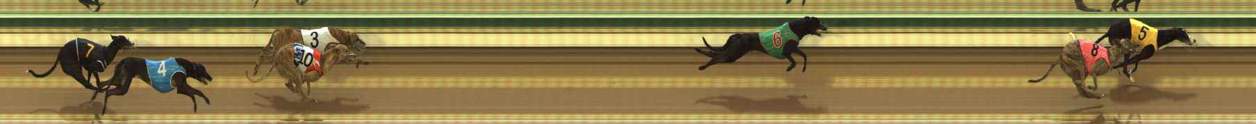 Photo finish for The Meadows Race 1