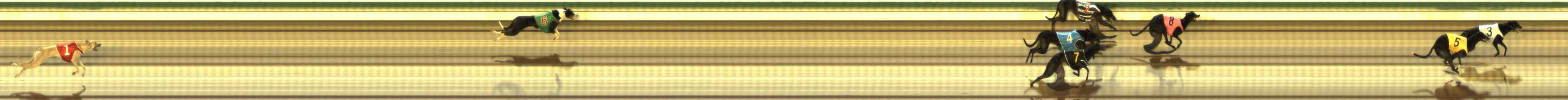 Photo finish for The Meadows Race 3