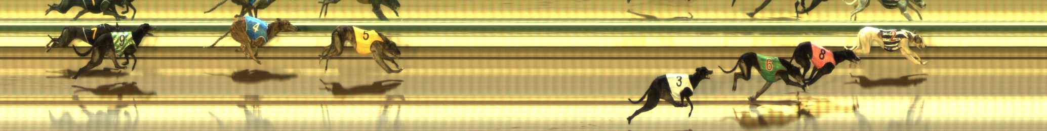 Photo finish for The Meadows Race 5