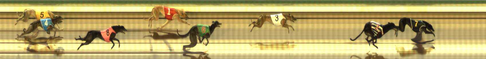 Photo finish for The Meadows Race 6