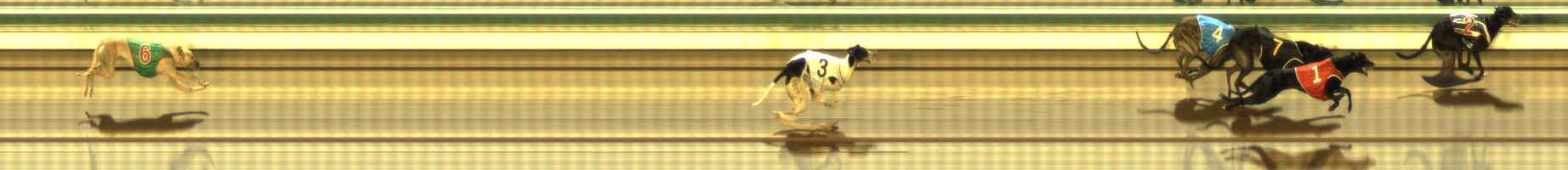 Photo finish for The Meadows Race 8