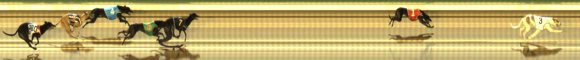 Photo finish for The Meadows Race 9