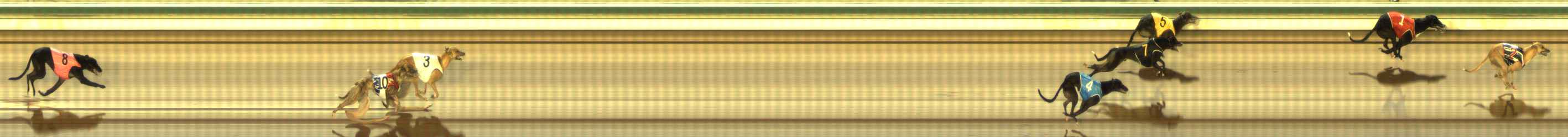 Photo finish for The Meadows Race 10