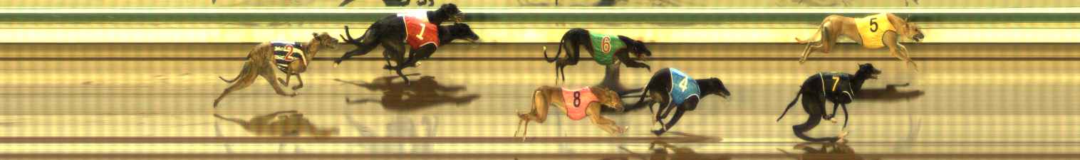 Photo finish for The Meadows Race 11
