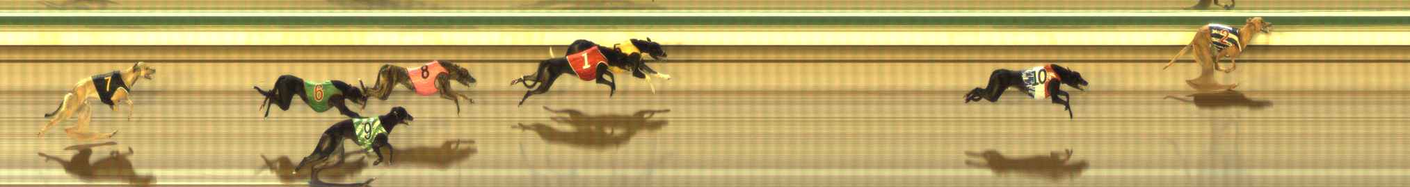 Photo finish for The Meadows Race 1