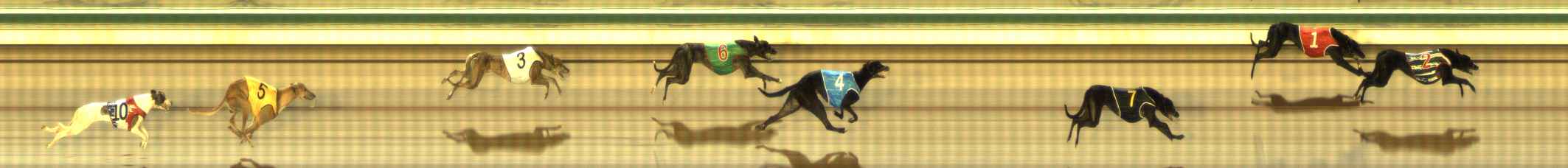 Photo finish for The Meadows Race 2