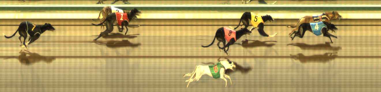 Photo finish for The Meadows Race 3