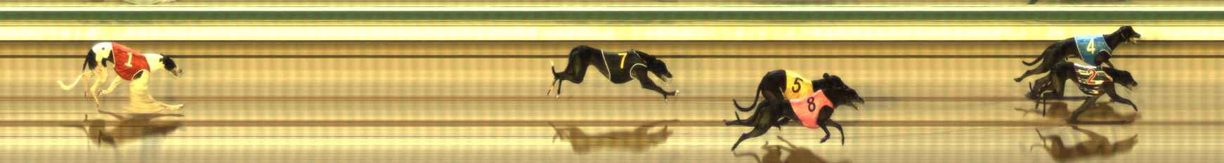 Photo finish for The Meadows Race 4