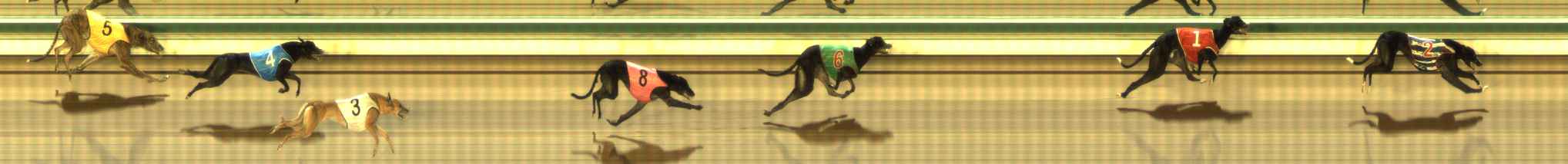 Photo finish for The Meadows Race 5