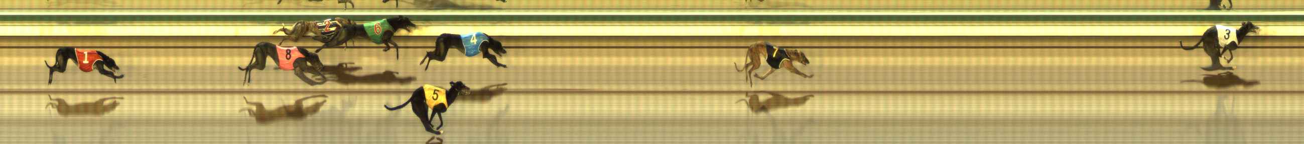 Photo finish for The Meadows Race 6