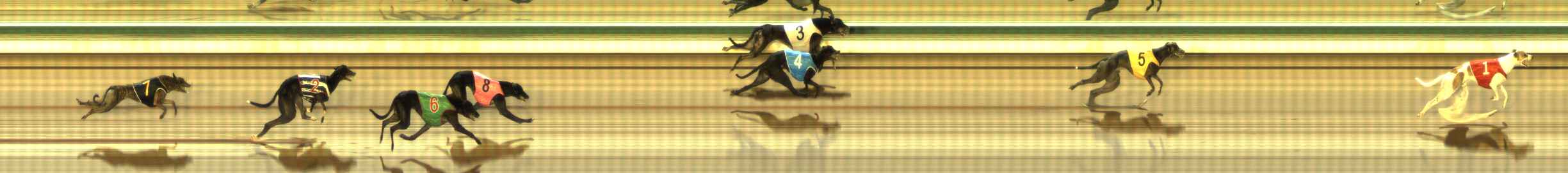 Photo finish for The Meadows Race 7