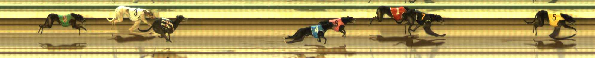 Photo finish for The Meadows Race 8