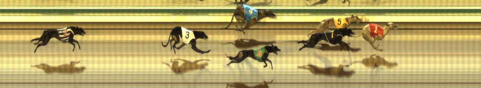 Photo finish for The Meadows Race 9