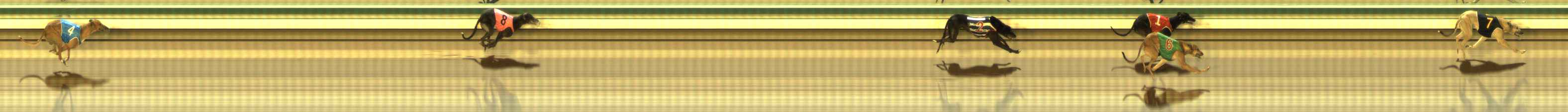 Photo finish for The Meadows Race 10
