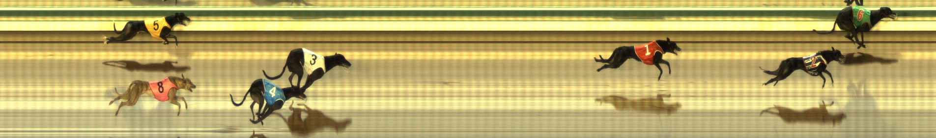 Photo finish for The Meadows Race 11