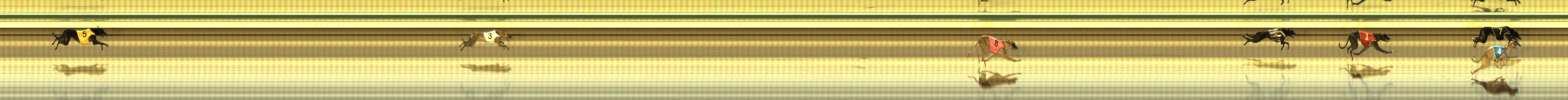 Photo finish for The Meadows Race 1