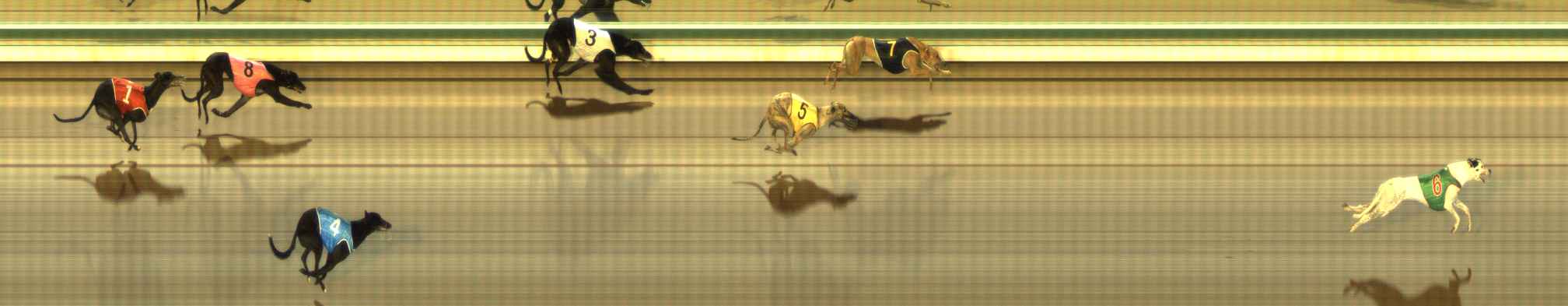 Photo finish for The Meadows Race 2