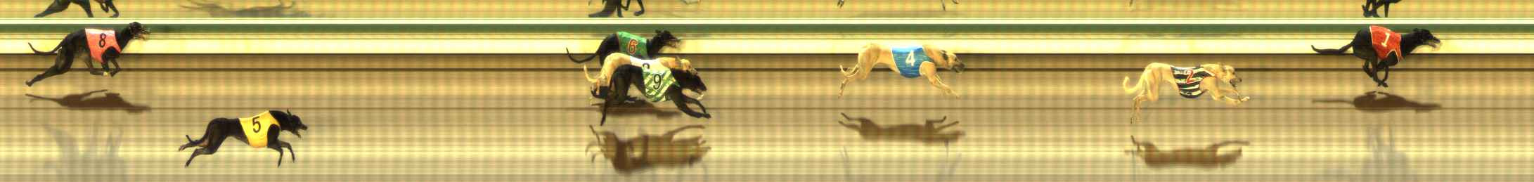 Photo finish for The Meadows Race 3