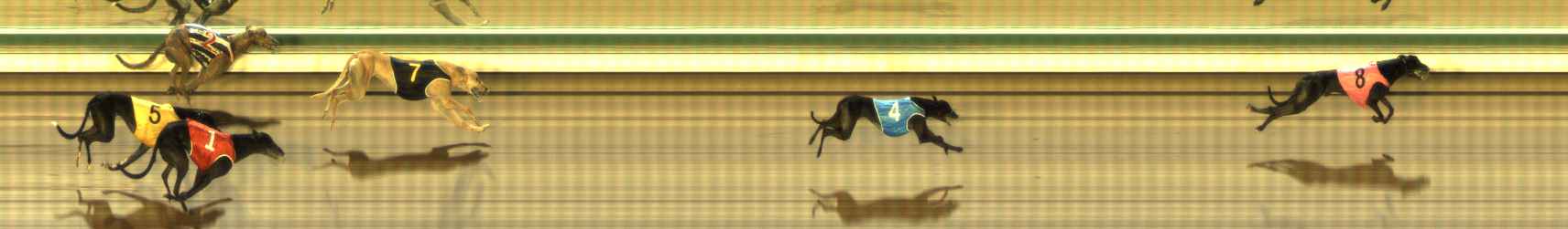 Photo finish for The Meadows Race 4