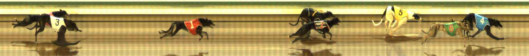 Photo finish for The Meadows Race 5