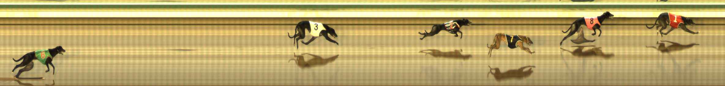 Photo finish for The Meadows Race 6