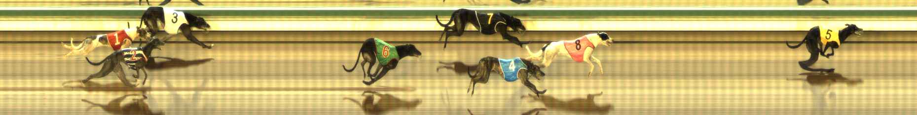 Photo finish for The Meadows Race 7