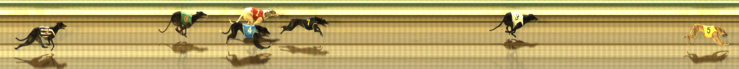 Photo finish for The Meadows Race 8