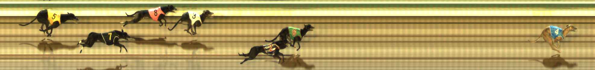 Photo finish for The Meadows Race 9