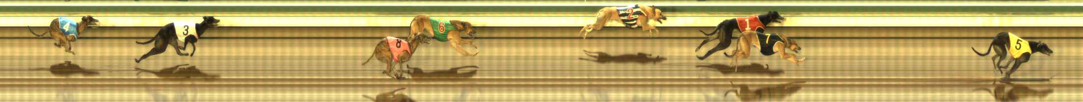 Photo finish for The Meadows Race 10