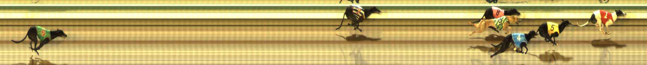 Photo finish for The Meadows Race 11