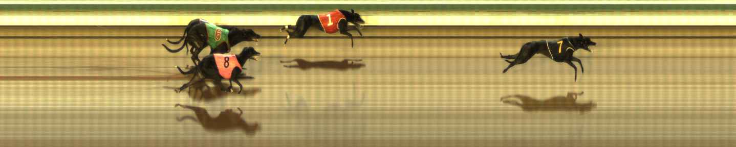 Photo finish for The Meadows Race 12