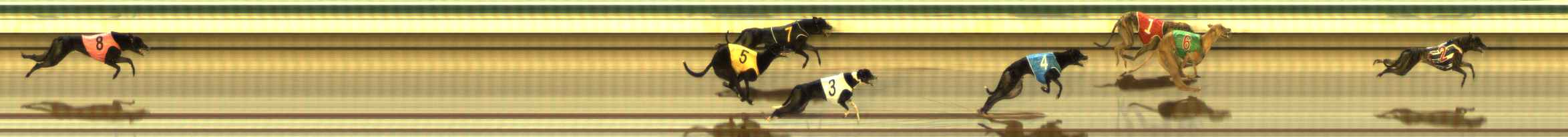 Photo finish for The Meadows Race 2
