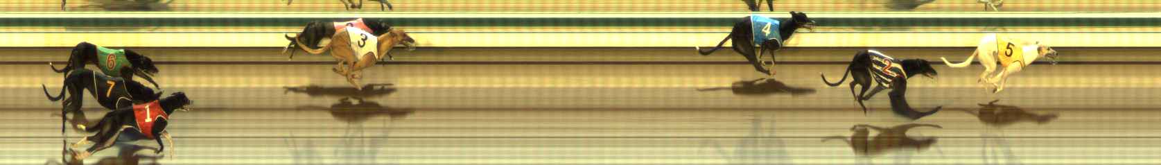 Photo finish for The Meadows Race 3