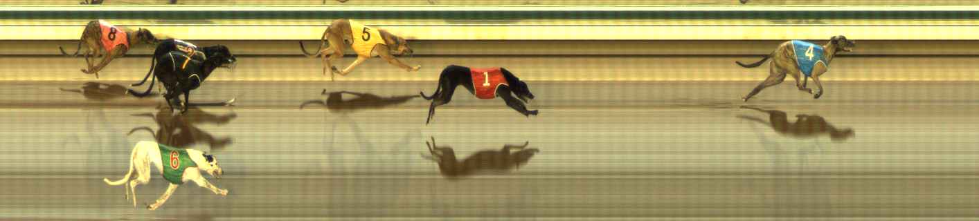 Photo finish for The Meadows Race 4