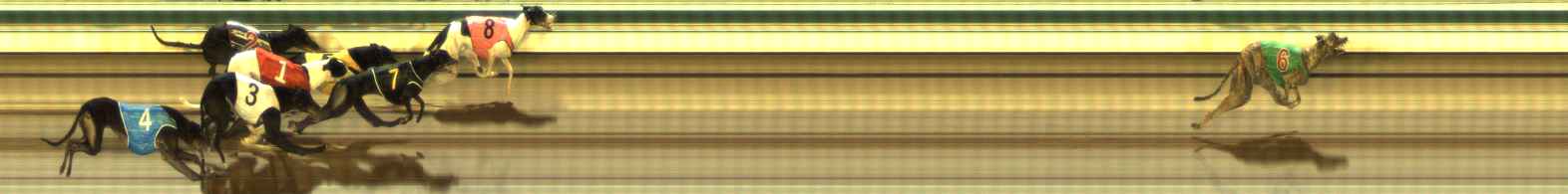 Photo finish for The Meadows Race 5