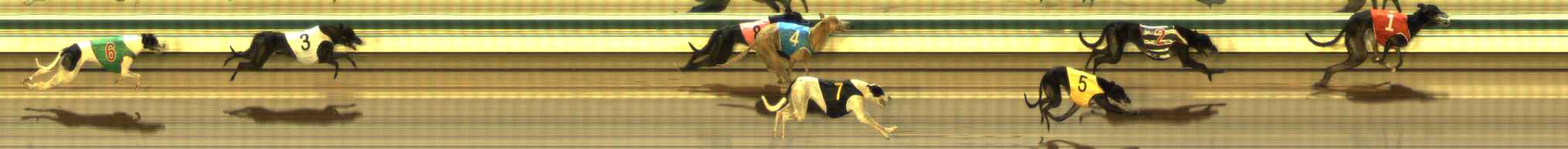 Photo finish for The Meadows Race 6