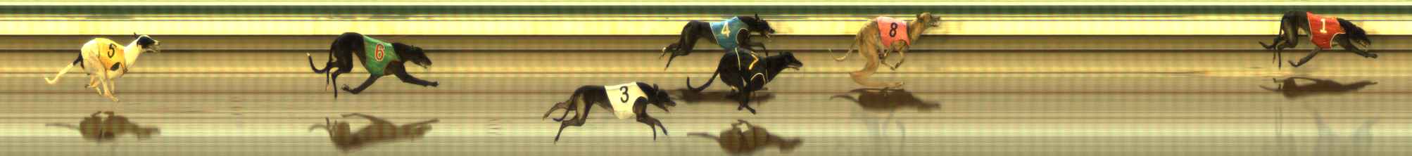 Photo finish for The Meadows Race 11