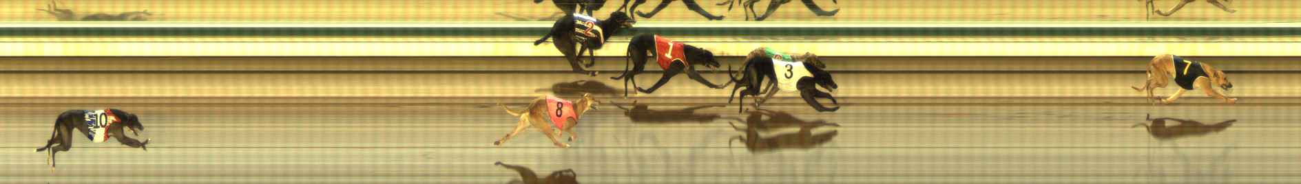Photo finish for The Meadows Race 12