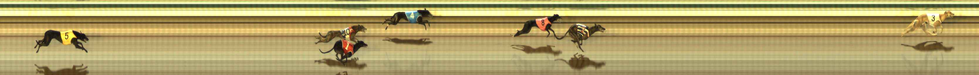 Photo finish for The Meadows Race 7