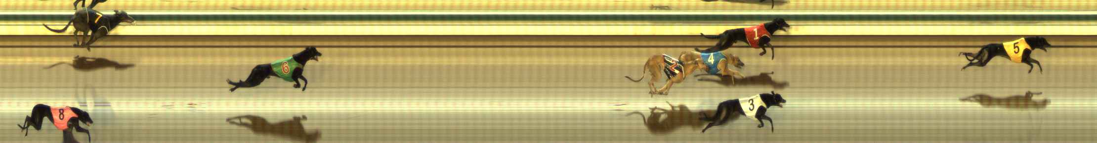 Photo finish for The Meadows Race 2