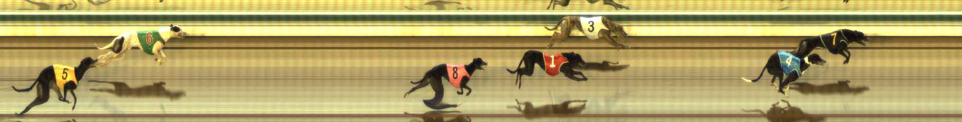 Photo finish for The Meadows Race 3