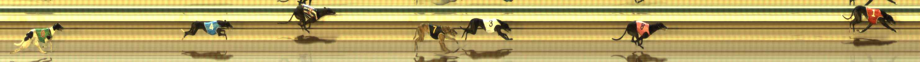 Photo finish for The Meadows Race 4