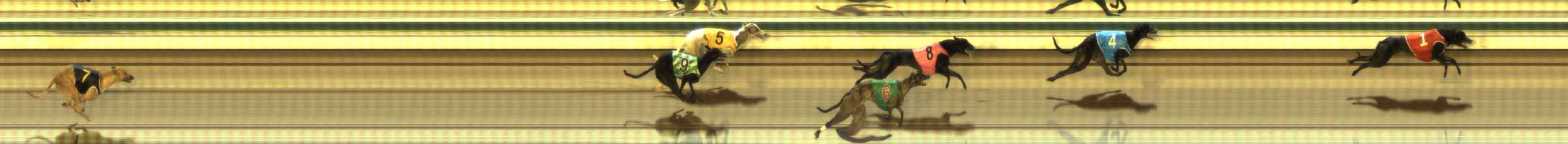 Photo finish for The Meadows Race 5