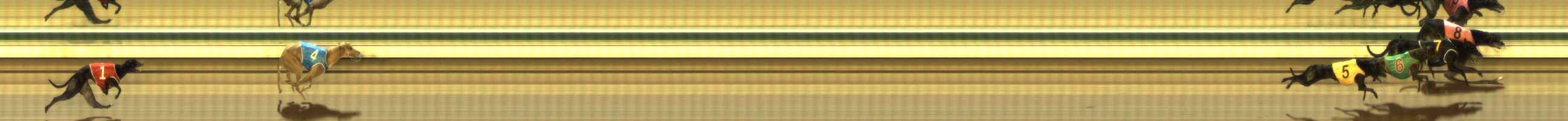 Photo finish for The Meadows Race 6