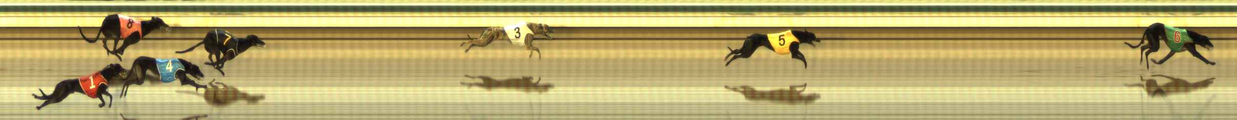 Photo finish for The Meadows Race 7
