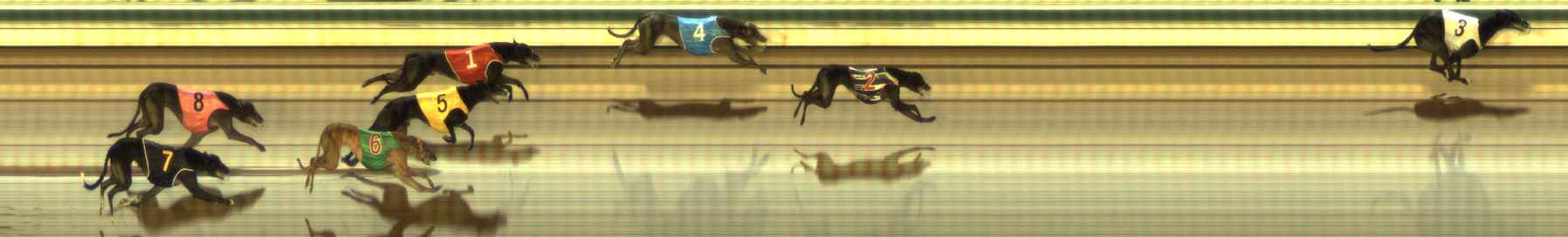 Photo finish for The Meadows Race 8