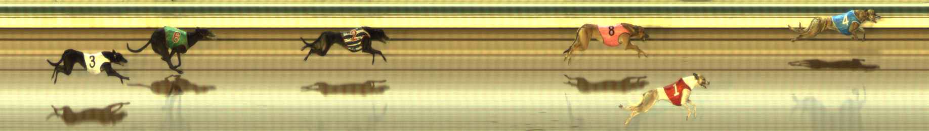 Photo finish for The Meadows Race 9